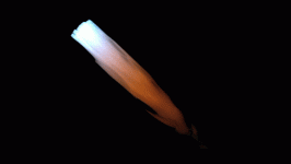 Volumetric_Light_06.gif