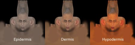 Face_Dermis_01.jpg